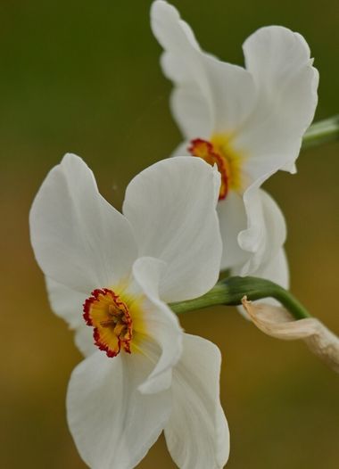 Karte Nr.0311