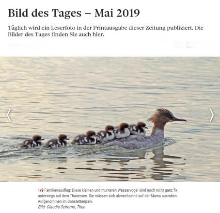 Bild des Tages Berner Zeitung 11. Mai 2019