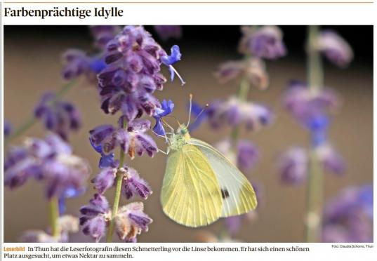 Bild des Tages 25. September 2021