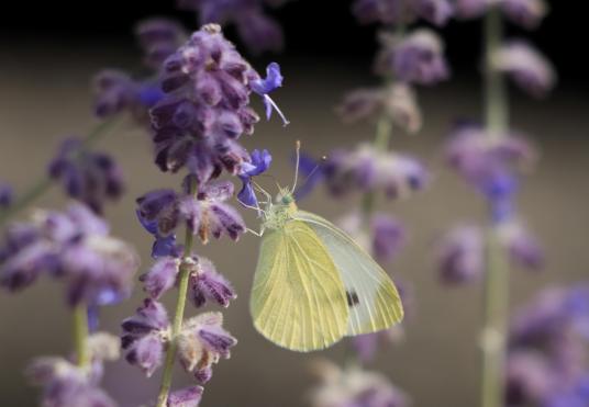 Bild des Tages 25. September 2021