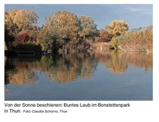 Leserbild Berner Zeitung und Thuner Tagblatt 17. November 2018