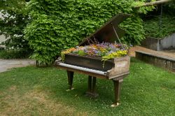 Blumen Kreative Floristik