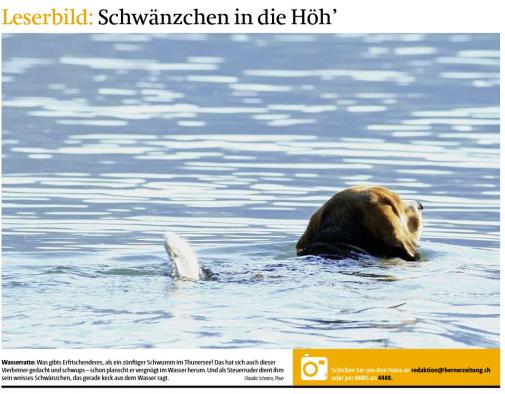 Leserbild Berner Zeitung und Thuner Tagblatt 18. Juli 2015