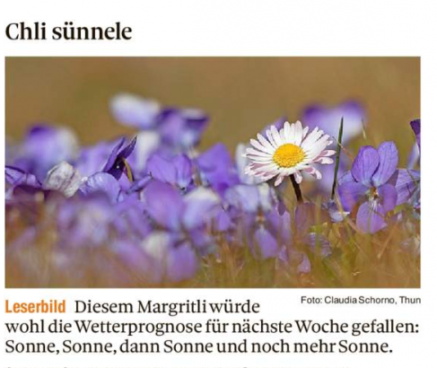 Leserbild Thuner Tagblatt 27. März 2021