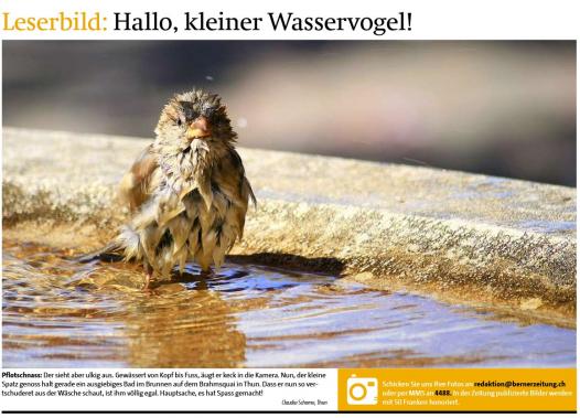 Bild des Tages Berner Zeitung 16. Mai 2015 