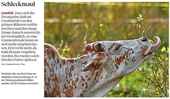 Leserbild Berner Zeitung 2. Oktober 2023