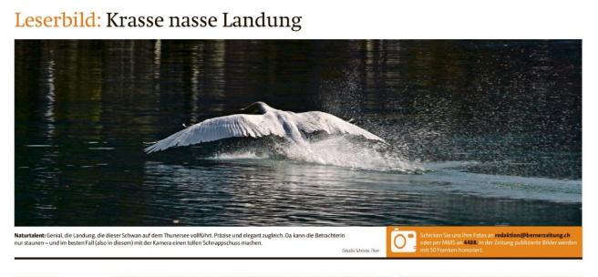 Leserbild Berner Zeitung und Thuner Tagblatt 10. April 2017
