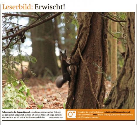 Leserbild Berner Zeitung und Thuner Tagblatt 14. März 2017