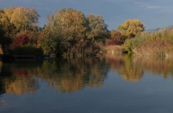 Leserbild Berner Zeitung und Thuner Tagblatt 17. November 2018