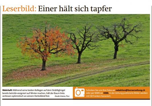 Leserbild Berner Zeitung und Thuner Tagblatt 25. November 2016