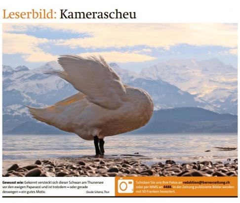 Leserbild Berner Zeitung und Thuner Tagblatt 27. Februar 2017