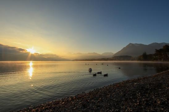 Leserbild Thuner Tagblatt und Berner Zeitung 11. Oktober 2021