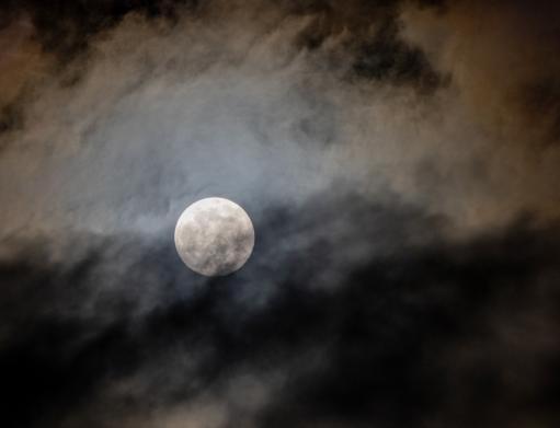 Leserbild Thuner Tagblatt und Berner Zeitung 17. Februar 2022