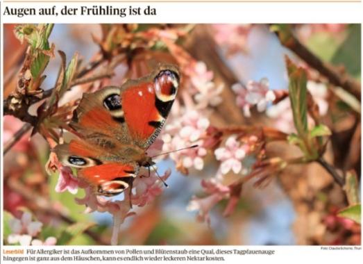 Leserbild Thuner Tagblatt und Berner Zeitung 24. März 2022