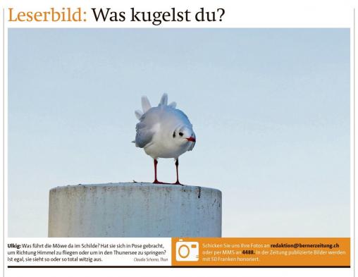 Leserbild Berner Zeitung und Thuner Tagblatt 24. November 2017