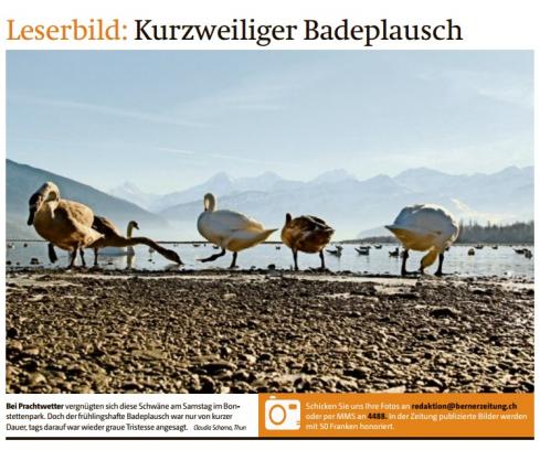 Leserbild Berner Zeitung und Thuner Tagblatt 8. Februar 2016