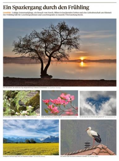 Leserbild Thuner Tagblatt 12. Mai 2021