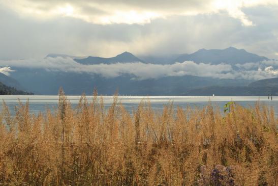 Leserbild Berner Zeitung und Thuner Tagblatt 13. Oktober 2016