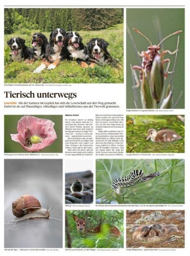 Leserbild Thuner Tagblatt 27. Juni 2020