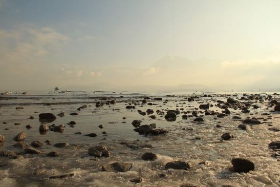 Leserbild Berner Zeitung und Thuner Tagblatt 3. Februar 2016