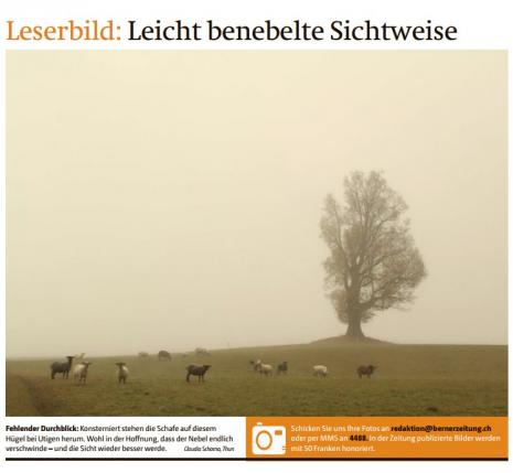 Leserbild Berner Zeitung und Thuner Tagblatt 10. November 2016