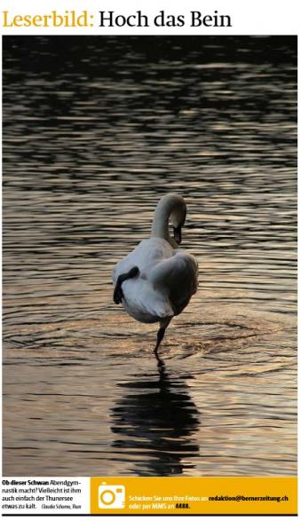  Leserbild Berner Zeitung und Thuner Tagblatt 10. Oktober 2014