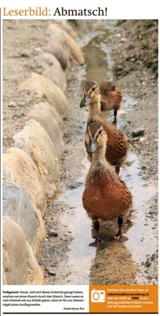  Leserbild Berner Zeitung und Thuner Tagblatt 3. Juni2016