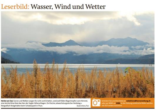 Leserbild Berner Zeitung und Thuner Tagblatt 13. Oktober 2016