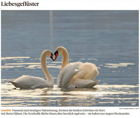 Leserbild Thuner Tagblatt und Berner Zeitung 14. Februar 2020