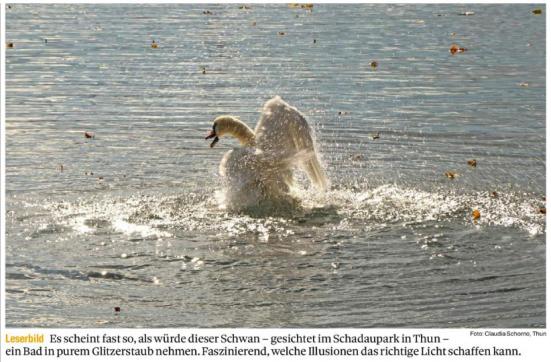 Leserbild Berner Zeitung und Thuner Tagblatt 14. November 2018