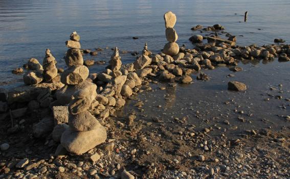 Leserbild Berner Zeitung und Thuner Tagblatt 17. Februar 2015