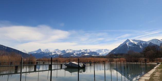 Leserbild Berner Zeitung und Thuner Tagblatt 18. März 2019