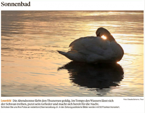 Leserbild Thuner Tagblatt und Berner Zeitung 19. November 2019