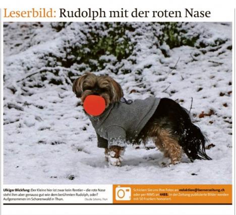 Leserbild Berner Zeitung und Thuner Tagblatt 20. Dezember 2017