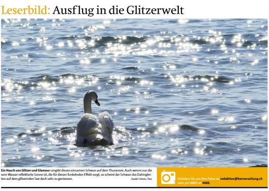 Leserbild Berner Zeitung und Thuner Tagblatt 21. März 2015