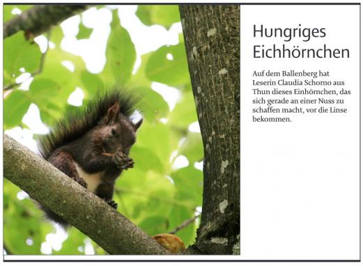 Leserbild Berner Zeitung und Thuner Tagblatt 22. September 2010