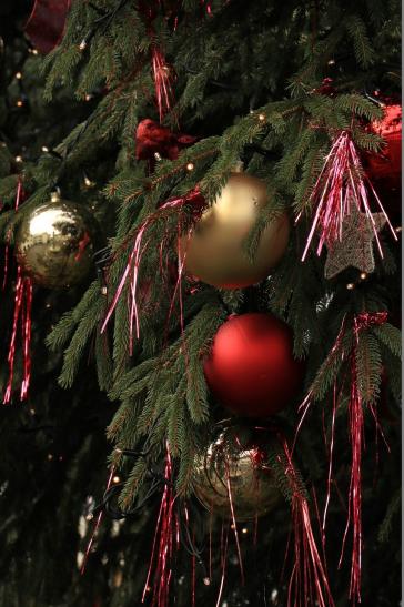 Leserbild Berner Zeitung und Thuner Tagblatt 23. Dezember 2017