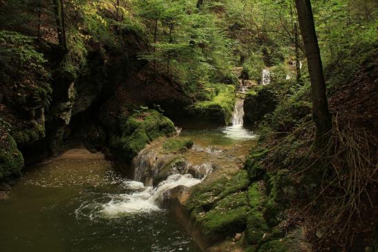 Leserbild Berner Zeitung und Thuner Tagblatt 24. Oktober.2013