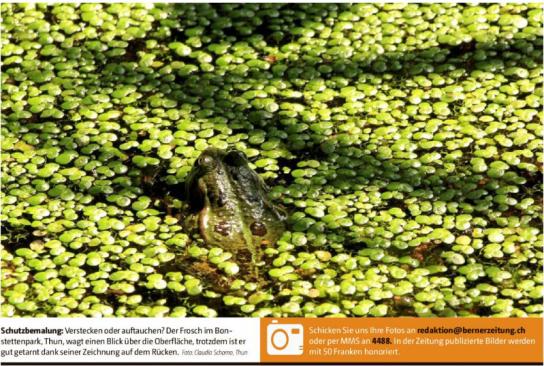 Leserbild Berner Zeitung und Thuner Tagblatt 26. Juli 2018