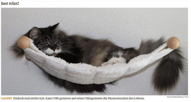 Leserbild Berner Zeitung und Thuner Tagblatt 28. Februar 2019