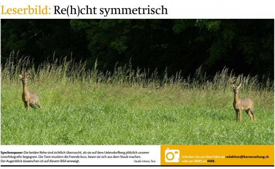 Leserbild Berner Zeitung und Thuner Tagblatt 2 .Juni 2015