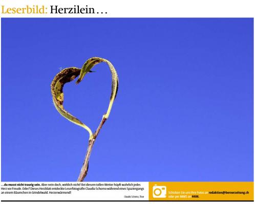 Leserbild Berner Zeitung und Thuner Tagblatt 31. Oktober 2014