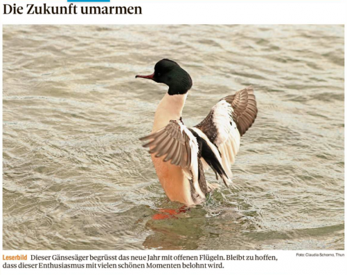 Leserbild Thuner Tagblatt und Berner Zeitung 3. Januar 2020
