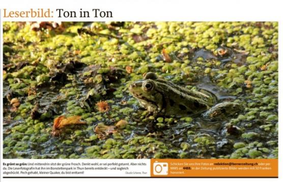 Leserbild Berner Zeitung und Thuner Tagblatt 3. Juli 2017