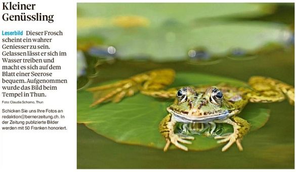 Leserbild Thuner Tagblatt und Berner Zeitung 3. Juni 2024