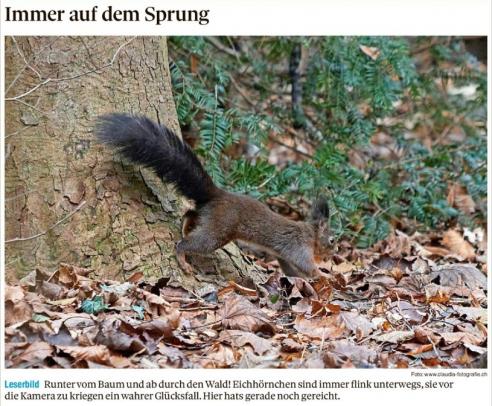 Leserbild Thuner Tagblatt und Berner Zeitung 5. Januar 2023