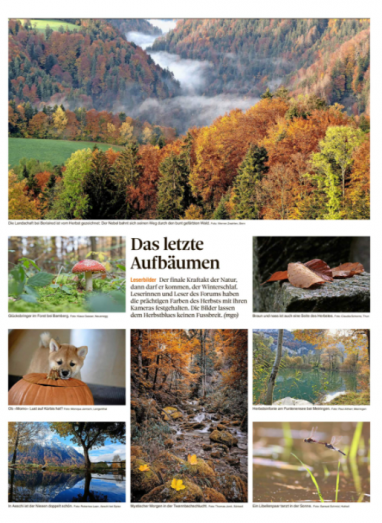 Leserbild Thuner Tagblatt und Berner Zeitung 5. November 2020