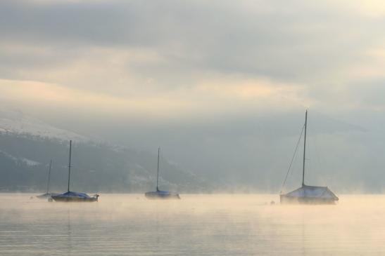 Leserbild Berner Zeitung und Thuner Tagblatt 6. Januar 2015