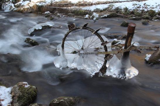 Leserbild Berner Zeitung und Thuner Tagblatt 6. Februar 2017