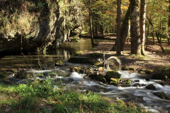 Leserbild Berner Zeitung und Thuner Tagblatt 8. November 2014